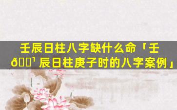 壬辰日柱八字缺什么命「壬 🌹 辰日柱庚子时的八字案例」